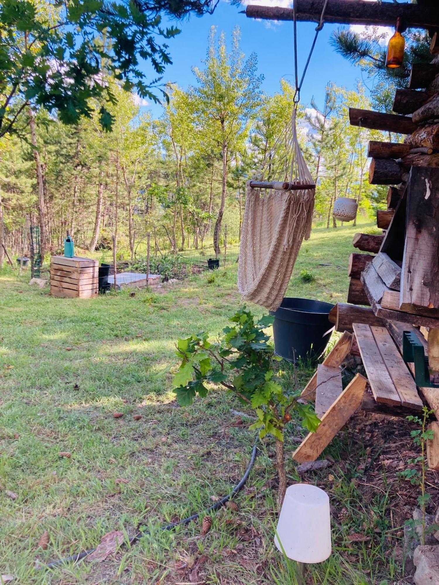 Chalet Forest Saint-Apollinaire  Extérieur photo